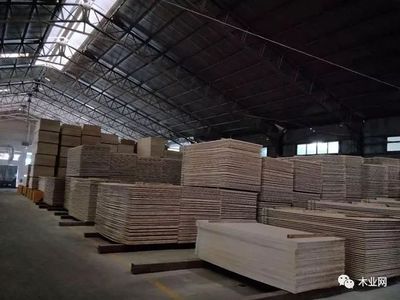 【專訪】福廣源李放兵:品牌發(fā)展三部曲 實(shí)現(xiàn)高質(zhì)量發(fā)展