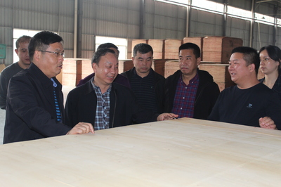 市林業局赴貴港、柳州等地開展木材精深加工考察及招商引資活動